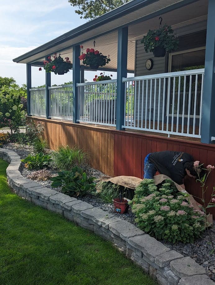 Deck staining in progress by Deck Revitalize crew - Hamilton